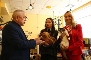 Москва, котокафе "Мурчашка": Николай Харитонов и депутаты МГД от КПРФ Енгалычева и Янчук продвигают зоозащитную проблематику