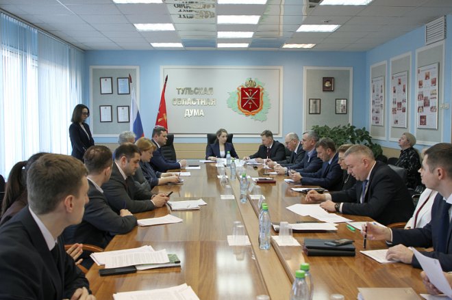 Светлана Белоус провела заседание комитета Тульской областной Думы