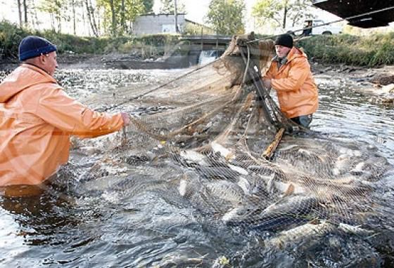 Госдума во втором чтении приняла законопроект, соавтором которого является Олег Лебедев