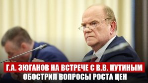 Г.А. Зюганов на встрече с В.В. Путиным обострил вопросы роста цен, проблемы авиации и сельхозмашиностроения, ситуацию с выборами и предложил вернуть имя Сталинград