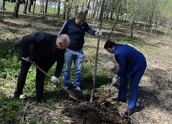 Первый секретарь Тульского обкома КПРФ Олег Лебедев вместе с ветеранами Великой Отечественной войны посадил алею в Центральном парке города-героя Тулы.