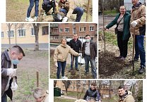Тульские коммунисты отметили Первомай Ленинскими субботниками, высадками деревьев, агитационным десантом, флешмобом в социальных сетях и традиционной делегацией на праздничной акции в столице
