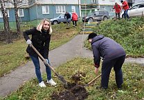 Коммунисты посадили деревья в Советском округе Тулы Коммунисты посадили деревья в Советском округе Тулы