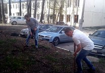 Коммунисты сажают деревья в тульских дворах Коммунисты сажают деревья в тульских дворах