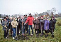 В Тульской области продолжается акция «Сад Победы - Сад Жизни»