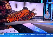 Видеосюжет телеканала Россия 1 о XXII международном Конгрессе Апиславии