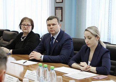 Светлана Белоус приняла участие в заседании комитета областной Думы по государственному строительству и безопасности.