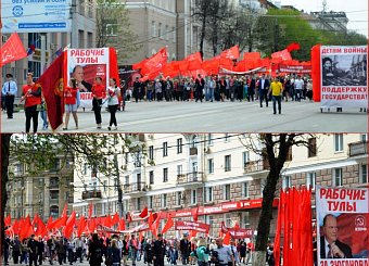 Тула майская. Тула майская.