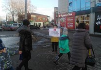 В Тульской области в предверии Дня Советской Армии и Военно-Морского Флота прошли пикеты