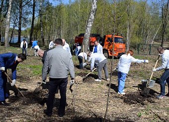 Первый секретарь Тульского обкома КПРФ Олег Лебедев вместе с ветеранами Великой Отечественной войны посадил алею в Центральном парке города-героя Тулы.