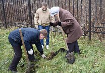 В Тульской области продолжается акция «Сад Победы - Сад Жизни»