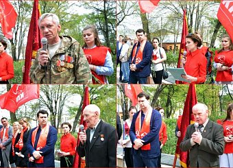 Тула майская. Тула майская.