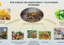 Г.А. Зюганов выступил на круглом столе «Северный мёд», посвящённом проблемам пчеловодства на российском Cевере Г.А. Зюганов выступил на круглом столе «Северный мёд», посвящённом проблемам пчеловодства на российском Cевере