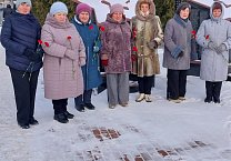 Коммунисты Донского отметили очередную годовщину освобождения города от фашистов