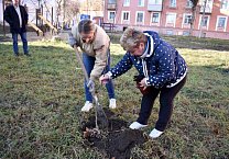 В Туле продолжается акция «Сад Победы - Сад Жизни» В Туле продолжается акция «Сад Победы - Сад Жизни»