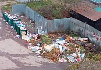 Ситуация с вывозом мусора в Алексине становится катастрофической Ситуация с вывозом мусора в Алексине становится катастрофической