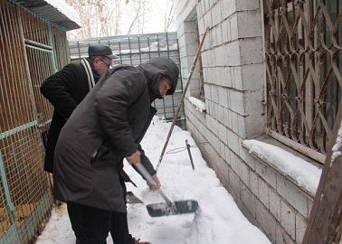 КПРФ провела субботник в приюте для животных