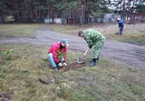 Алексин присоединился к акции «Сад Победы - Сад Жизни»