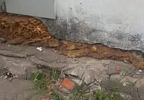 Депутат Светлана Белоус подняла проблему нарушения жилищного законодательства в Советске Депутат Светлана Белоус подняла проблему нарушения жилищного законодательства в Советске