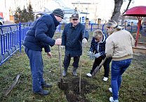 В Туле продолжается акция «Сад Победы - Сад Жизни» В Туле продолжается акция «Сад Победы - Сад Жизни»