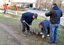 В Туле продолжается акция «Сад Победы - Сад Жизни» В Туле продолжается акция «Сад Победы - Сад Жизни»