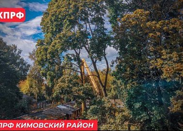 Кимовские коммунисты добились опиловки деревьев во дворе дома №5 по улице Молодежной