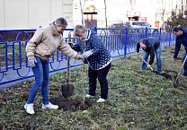 В Туле продолжается акция «Сад Победы - Сад Жизни» В Туле продолжается акция «Сад Победы - Сад Жизни»