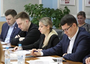Светлана Белоус приняла участие в заседании Совета Тульской областной Думы.