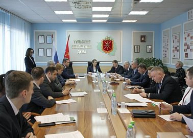 Светлана Белоус провела заседание комитета Тульской областной Думы
