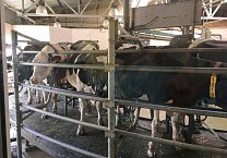 Олег Лебедев провёл экологический круглый стол в Рязани по законопроекту об органическом земледелии и производстве экологически чистых продуктов