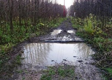 Светлана Белоус помогла решить проблемы с инфраструктурой населённого пункта в Кимовском районе