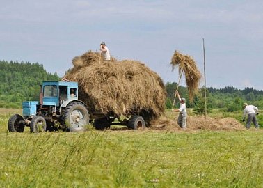 К слову, о сельчанах
