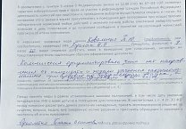 Жалобы по нарушениям процесса голосования