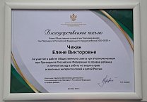 Елена Чекан приняла участие в заседании Общественного совета при Уполномоченном при Президенте Российской Федерации по правам ребенка
