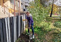 САД Победы САД Победы