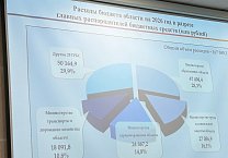 Депутат Тульской областной Думы Светлана Белоус приняла участие в слушаниях по бюджету