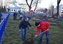В Туле продолжается акция «Сад Победы - Сад Жизни» В Туле продолжается акция «Сад Победы - Сад Жизни»
