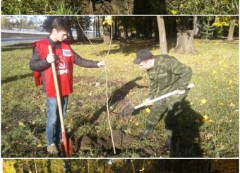 Тульский обком продолжает акцию «100 деревьев в честь столетия Великого Октября!». Тульский обком продолжает акцию «100 деревьев в честь столетия Великого Октября!».