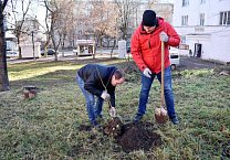 В Туле продолжается акция «Сад Победы - Сад Жизни» В Туле продолжается акция «Сад Победы - Сад Жизни»