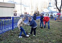 В Туле продолжается акция «Сад Победы - Сад Жизни» В Туле продолжается акция «Сад Победы - Сад Жизни»