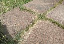 Памятник Ленину в центре Ясногорска разрушается на глазах