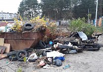 Ситуация с вывозом мусора в Алексине становится катастрофической Ситуация с вывозом мусора в Алексине становится катастрофической