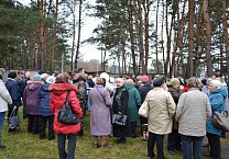 В Алексине депутаты-коммунисты организовали народный сход против вырубки соснового бора