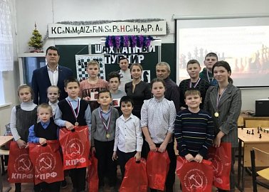 Тульские коммунисты наградили юных шахматистов в Липках