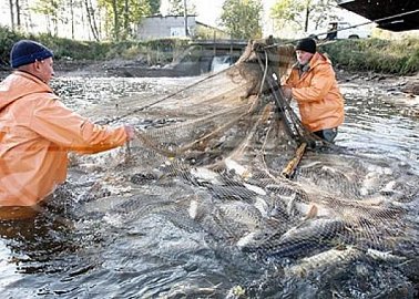Госдума во втором чтении приняла законопроект, соавтором которого является Олег Лебедев