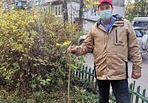 САД Победы САД Победы