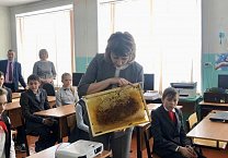 Геннадий Зюганов подарил юным пчеловодам Владимирской области энциклопедии и провел для них онлайн-урок Геннадий Зюганов подарил юным пчеловодам Владимирской области энциклопедии и провел для них онлайн-урок