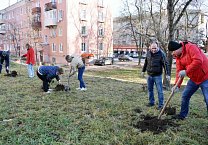 В Туле продолжается акция «Сад Победы - Сад Жизни» В Туле продолжается акция «Сад Победы - Сад Жизни»