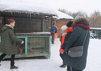 КПРФ провела субботник в приюте для животных