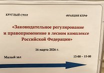 Комсомольцы Тульской области приняли участие в работе круглого стола, который прошёл в Государственной Думе на тему: «Законодательное регулирование и правоприменение в лесном комплексе Российской Федерации»